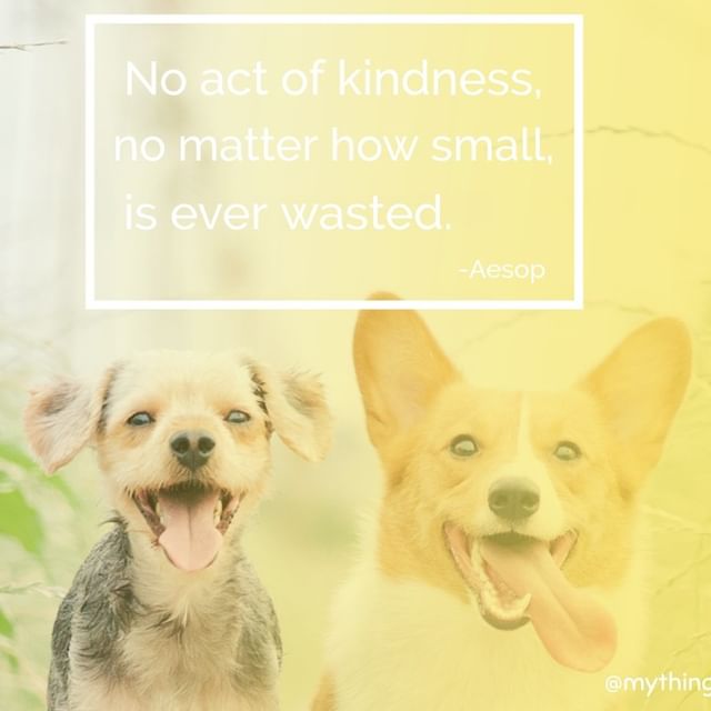 No act of kindness, no matter how small, is ever wasted.