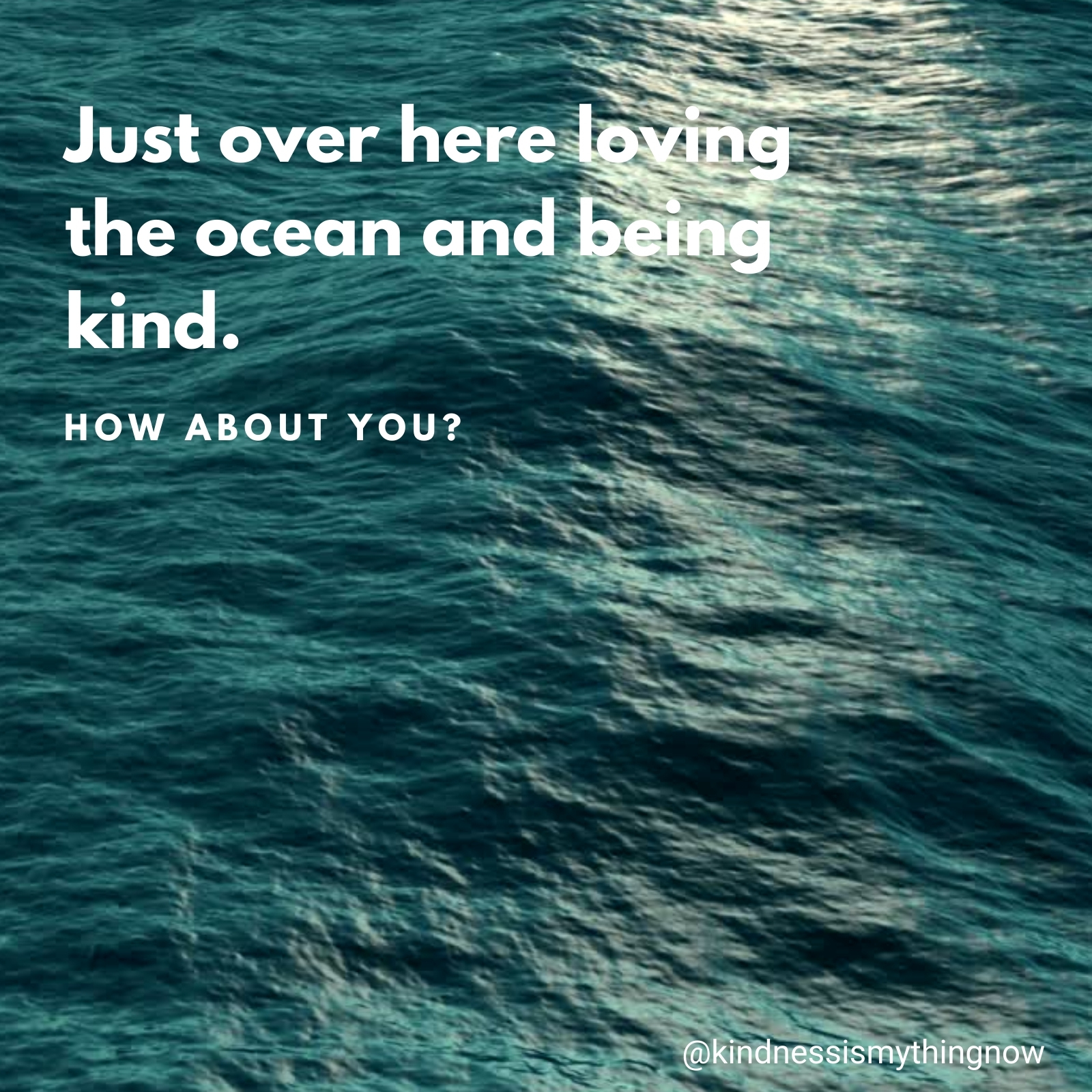 Loving the Ocean and Being Kind