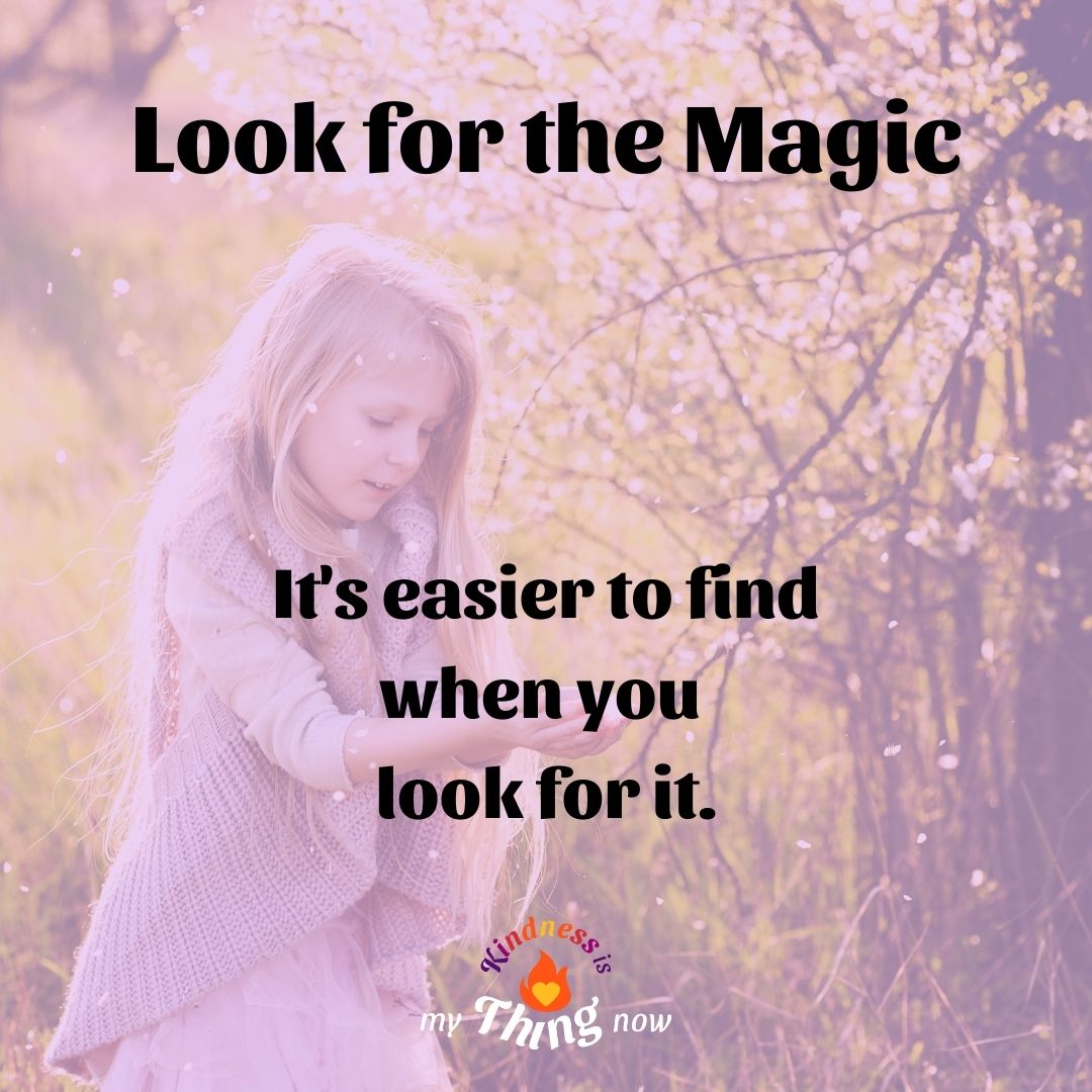 Look for the Magic