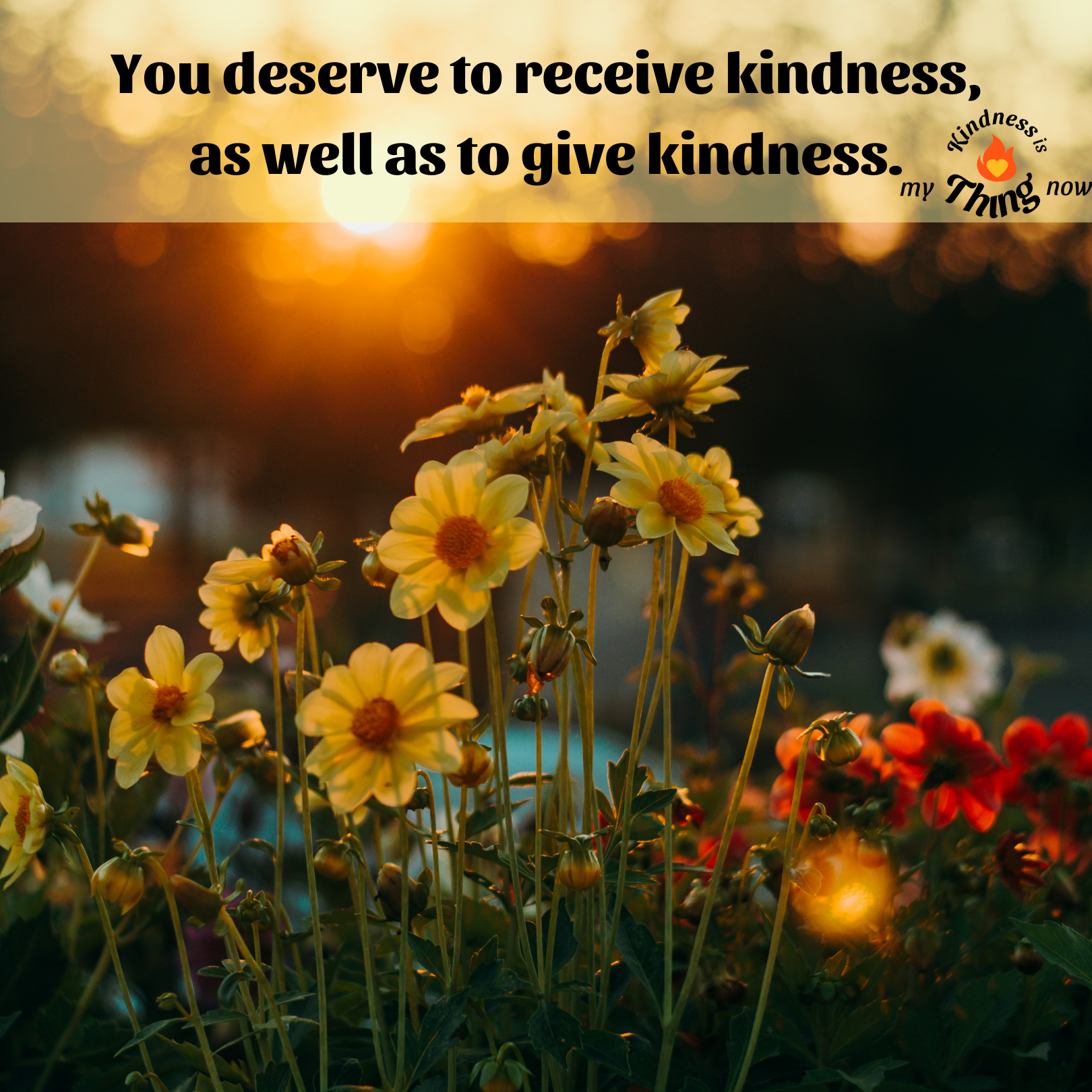 You Deserve Kindness